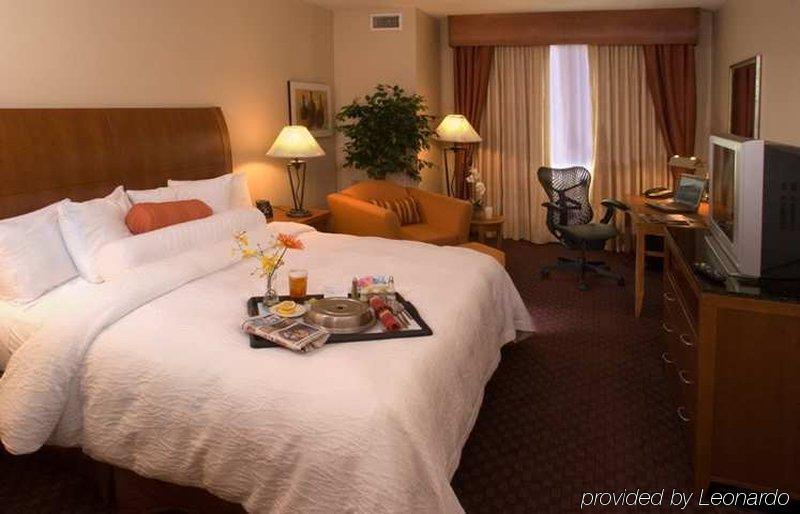 Hilton Garden Inn Dfw Airport South Irving Habitación foto